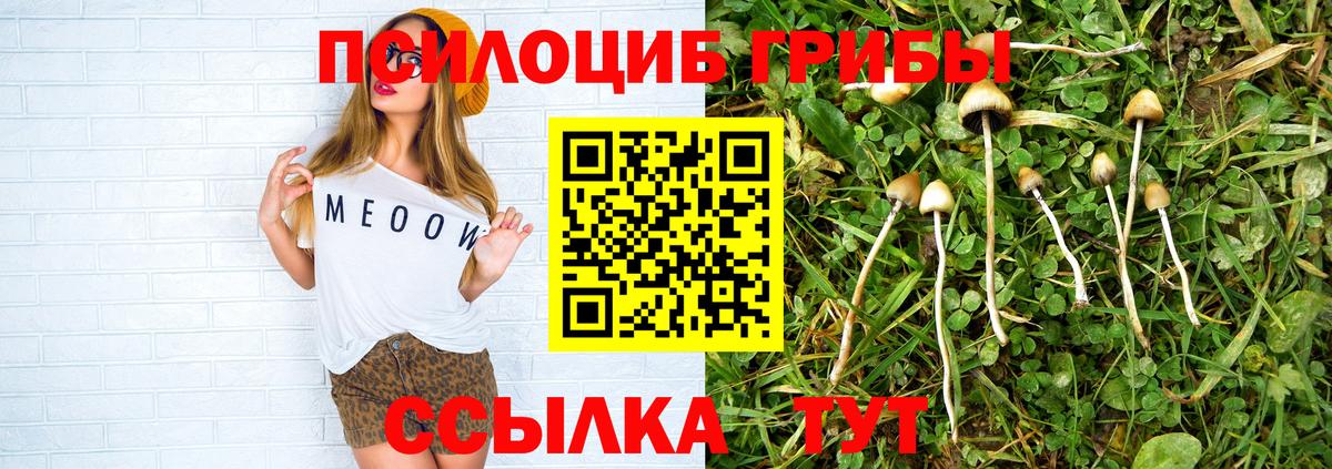 Псилоцибиновые грибы Magic Shrooms Десногорск