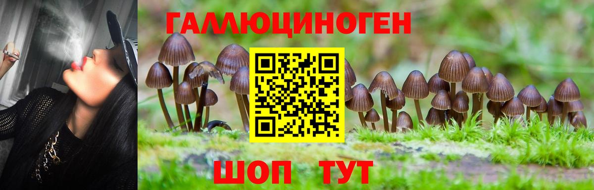 Псилоцибиновые грибы мицелий  Вход с VPN  Десногорск 
